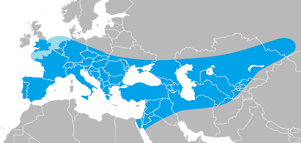 Cartina dispersione dell'uomo di Neandertal.