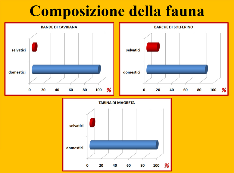 Diagramma.