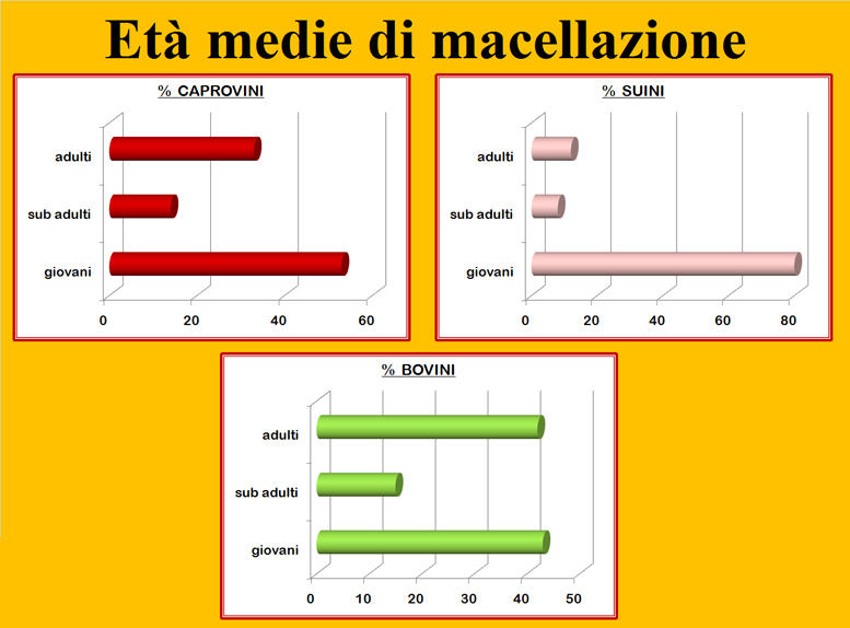 Diagramma.