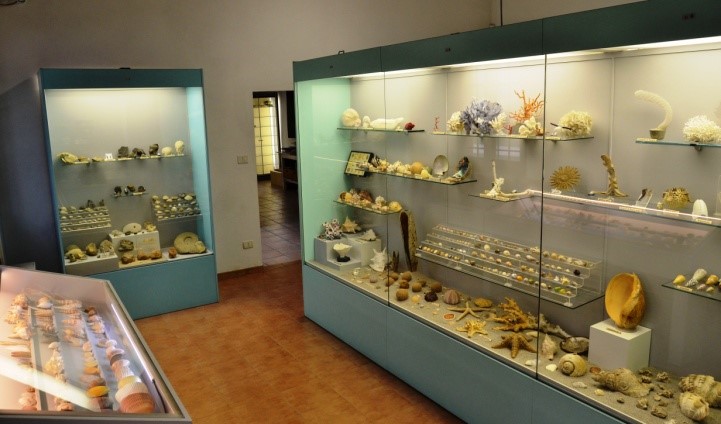 Sala naturalistica.